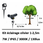 eclairage-pour-olivier