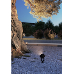 AMB_ZAS_SQ_XL_4962_3