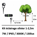 eclairage-d-olivier