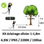 eclairage-olivier