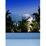 AMB_SAIR_4894_1