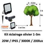 eclairage-olivier