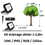 projecteur-pour-olivier