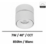 mini-concord-blanc