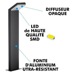 borne-led-exterieure-daytona-12w-eq-120w-ip44 (1)