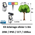 eclairage-arbre-philips