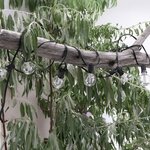 lm8964-ambiente-dia_68528370c06a3-800x800