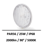 par56-piscine