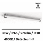 détecteur-HF
