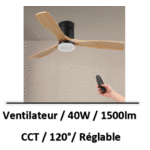 ventilateur-plafond