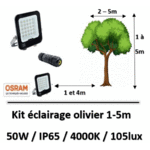 eclairage-olivier