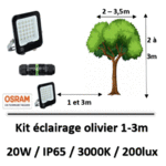 eclairage-olivier