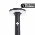 borne-led-solaire-double-detecteur-mouvement-crepusculaire-x3-modes-declairage-600-lumens (1)