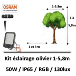 eclairage-olivier