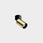 1591262941-atom-surface-gold