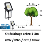 eclairage-arbre