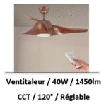 ventilateur-plfond-bois
