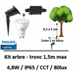 ECLAIRAGE-arbre