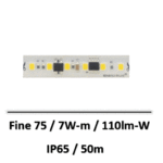 fine75-beneito