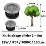 eclairag-olivier