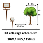 eclairage-arbre