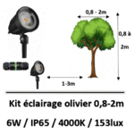 eclaraige-olivier