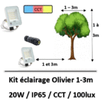 eclairage-olivier