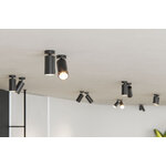 AMB_CROWN_BASE_5225_3