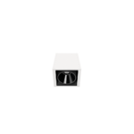black_foster-02_01-black_foster_surface_1-WT
