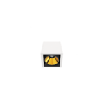 black_foster-02_01-black_foster_surface_1-WTMG