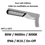 stak-lited