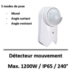 detecteur-de-mouvement