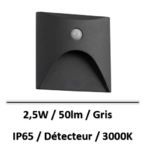 balise-led-detecteur