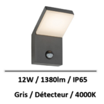 applique-avec-detecteur