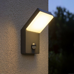 applique-murale-led-exterieure-daytona-sensor-12w-eq-120w-ip65 (1)