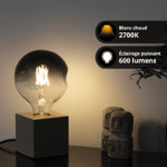 ampoule-led-globe-g125-irreguliere-au-verre-fume-culot-e27-6w-cons-48w-eq-600-lumens-lumiere-blanc-chaud (1)