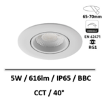 620t05wh-oggi-luce