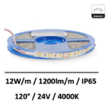 ruban-led-IP65