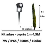 eclairage-cyprès