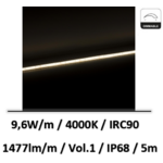 ruban-led-24V
