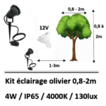 spot-12V