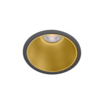 buddy-001-NG