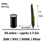 eclairage-arbre