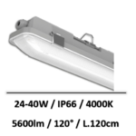 reglette-isoled