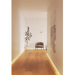 65121_ambience1