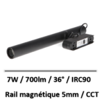 rail-magnetique