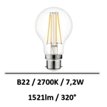 ampoule-b22