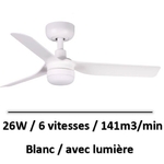 ventilateur-plafond-en-pente