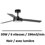 ventilateur-plafond-grande-surface