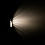 SLIP012013,img07